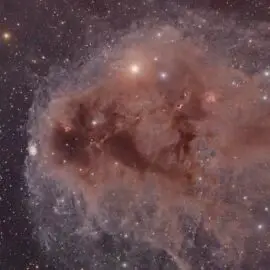 The Rotten Fish Heat Engine – LDN1251 (Cepheus) in LRGB