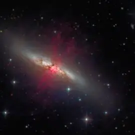 Stars are born – Have a Cigar