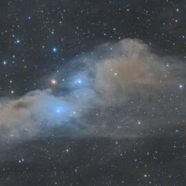 More than Dust in the Wind